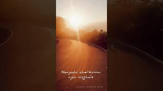 മൺപാത നീട്ടുന്ന മോഹങ്ങളെManpaatha Neettunna Mohangale LyricsIconz Media HubStatusShort Video [upl. by Palumbo]