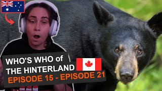 Hinterland Whos Who  Ep15 to Ep21  Australian Reacts  AussieTash [upl. by Yhtur348]