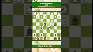 14 Moves Checkmate With IcelandicPalme Gambit🔥shorts youtubeshorts chess [upl. by Hadrian]