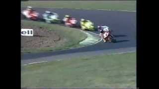 1995 Australian Superbike Championship  Rd 3 Baskerville Race 2 [upl. by Mychael883]