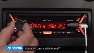 Sony CDXG3150UP Display and Controls Demo  Crutchfield Video [upl. by Naahsar]