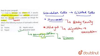 Read the given paragraph It is lined by glandular and ciliated cells It absorbs nitrogenous was [upl. by Saire]