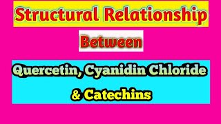 Structural Relationship between Quercetin Cyanidin chloride amp Catechins [upl. by Booze]