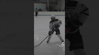 ishockey icehockey icesport sports hockeystars teamsport goalie hockeylove wintersport nhl [upl. by Harmonie984]