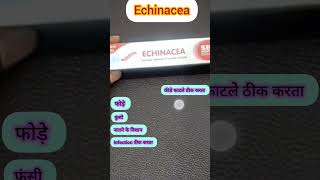 Echinacea ointment homoeopathic in Hindi for wound boil insect biteburn antiseptic cream shorts [upl. by Lema]