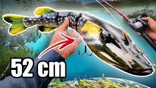 MONSTER vs Tiny Lures for PIKE FISHING 🔥 1000 g Swimbait [upl. by Blancha364]