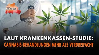 Laut KrankenkassenStudie Cannabis Behandlungen mehr als verdreifacht [upl. by Sugna929]