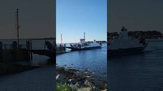 The Ferry travels between Strangford and Portaferry Filmed by Vivian Smiling on 11 Oct 2024 [upl. by Vocaay]