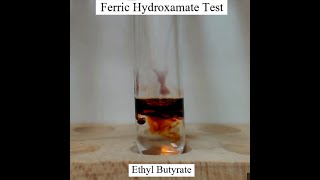 Naming Organic Molecules Grade 12  Carboxylic Acids Esters [upl. by Ikin]