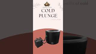 Unleash the Power of Cold Therapy with Our Ice Bath Chiller [upl. by Halet884]