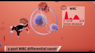 Mr H and HumaCount 80TS and 30TS  3part Differential Hematology Analyzers [upl. by Ydnac]