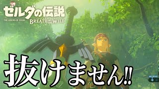 【神ゲー】ついにアイテムポーチの拡張方法を知るリンク（俺）【早くティアキン遊びたい男のブレワイ】９日目 [upl. by Ellemrac]