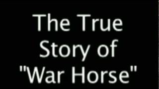 War Horse  The True Story [upl. by Adore]