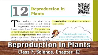 Class 7 Science Chapter 12  NCERT  Reproduction in Plants [upl. by Aicargatla]