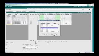 Deltek Vision  Timesheets  Doris Video [upl. by Laurita]