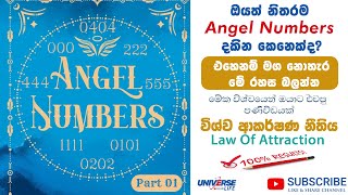 ඔයත් නිතරම Angel Numbers දකින කෙනෙක්ද Part 01 Law Of Attraction Sinhala universelifeofficial [upl. by Lorelie264]