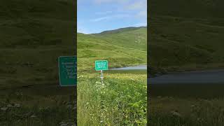 Eagle in Unalaska [upl. by Ethelda]