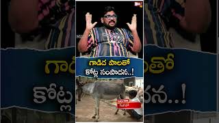 Dasari Vignan Sensational Facts Revealed About Donkey Milk Scam  Exclusive Interview NoxTVChannel [upl. by Neelrihs685]