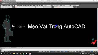 Khắc phục lỗi F8  Sửa lỗi ấn F8 AutoCAD bị treo đơ [upl. by Eneja]