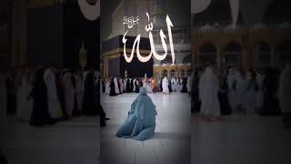 Trending Naatsarf Song👎❣️👎islamicshorts islamicvideo islamic allah madina trending shortvideo [upl. by Rozek]