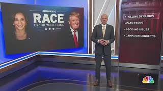 Decision 2024 Race for the White House  NBC New York [upl. by Koball]