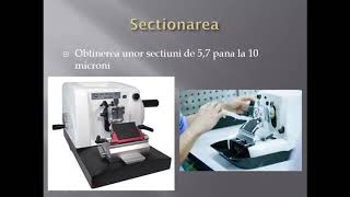 L P 5 Preparatul microscopic permanent [upl. by Siloam]