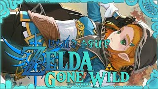 5K Zelda GONE WILD  Épreuve basique de Force  Combat contre un Gardien  BotW blueazur [upl. by Anileh768]