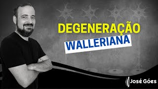 Degeneração Walleriana  José Góes [upl. by Attennek689]