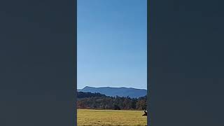 So why do these mountains look blue See answer in description mountains shortsvideo appalachia [upl. by Eicyak176]