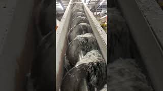 Densifying HDPE feed auger [upl. by Dehsar]