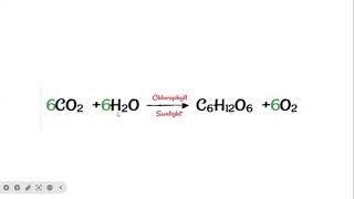 PhotochemistryCHEM201 Photochemistry and catalysisBSc II [upl. by Owena]