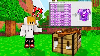 Minecraft But Items Are GIANT  Tagalog [upl. by Meda]