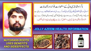 nagar motha kay istimal fawaid aor nuqsan  cyperus scariosus roots uses benefits and sideeffects [upl. by Hinson]