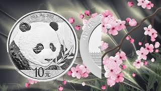 China Silver Panda Coins [upl. by Udele243]