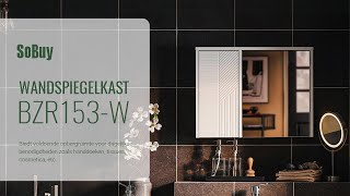 SoBuy Badkamer wandspiegelkast丨Hoge kast丨Gespiegelde opbergkast丨BZR153W [upl. by Aeht]