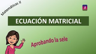 Ecuación matricial Selectividad MCPV2021ExtB1 Matemáticas II EAU UPVEHU [upl. by Ecyal]