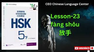 HSK5下）Standard course 标准教程（练习听力）（Lesson 23） [upl. by Avery]