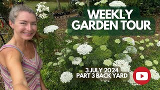 Weekly Garden Tour 3 July 2024 part 3 [upl. by Shelden]