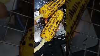 Roasted Sweet corn 🌽  A popular Indian Street food shorts madh ki kitchen viralshorts bhutta [upl. by Tail]