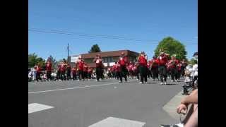 Bellingham High School Alumni Marching Band [upl. by Blair407]