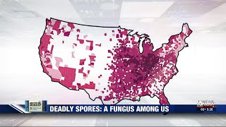 Medical Moment The spreading fungus causing deadly lung infections [upl. by Luane]