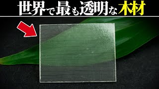 ガラスに代わる科学技術『Transparent Wood』【ゆっくり解説】 [upl. by Elliven]