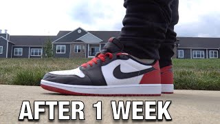 I Wore the JORDAN 1 LOW BLACK TOE Everyday for a WEEK Here is What Happened [upl. by Ojadnama]