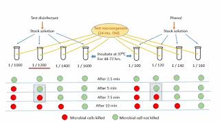 Evaluation of Disinfectants [upl. by Raycher251]