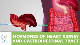 HORMONES OF HEART KIDNEY AND GASTROINESTINAL TRACT [upl. by Notnef]