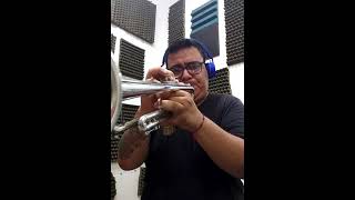 Coro Miyare  Solo de trompeta  Luis Perico Ortíz Fania All Stars 🎺 [upl. by Aikyn]