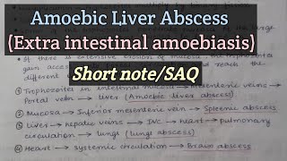 Amoebic Liver Abscess  Extra intestinal amoebiasis  Parasitic infection of hepatobiliary System [upl. by Perot]