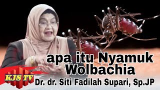 🔴 Viral Apa itu Nyamuk WOLBACHIA ini penjelasan Dr dr Siti Fadilah Supari SpJP [upl. by Nazar]