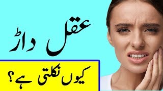 Why do we have wisdom teeth Hindi  Urdu [upl. by Nylaras420]