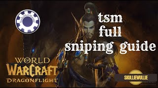 TSM SNIPER setupTradeSkillMaster beginner guide 2024 wow dragonflight [upl. by Deeann406]